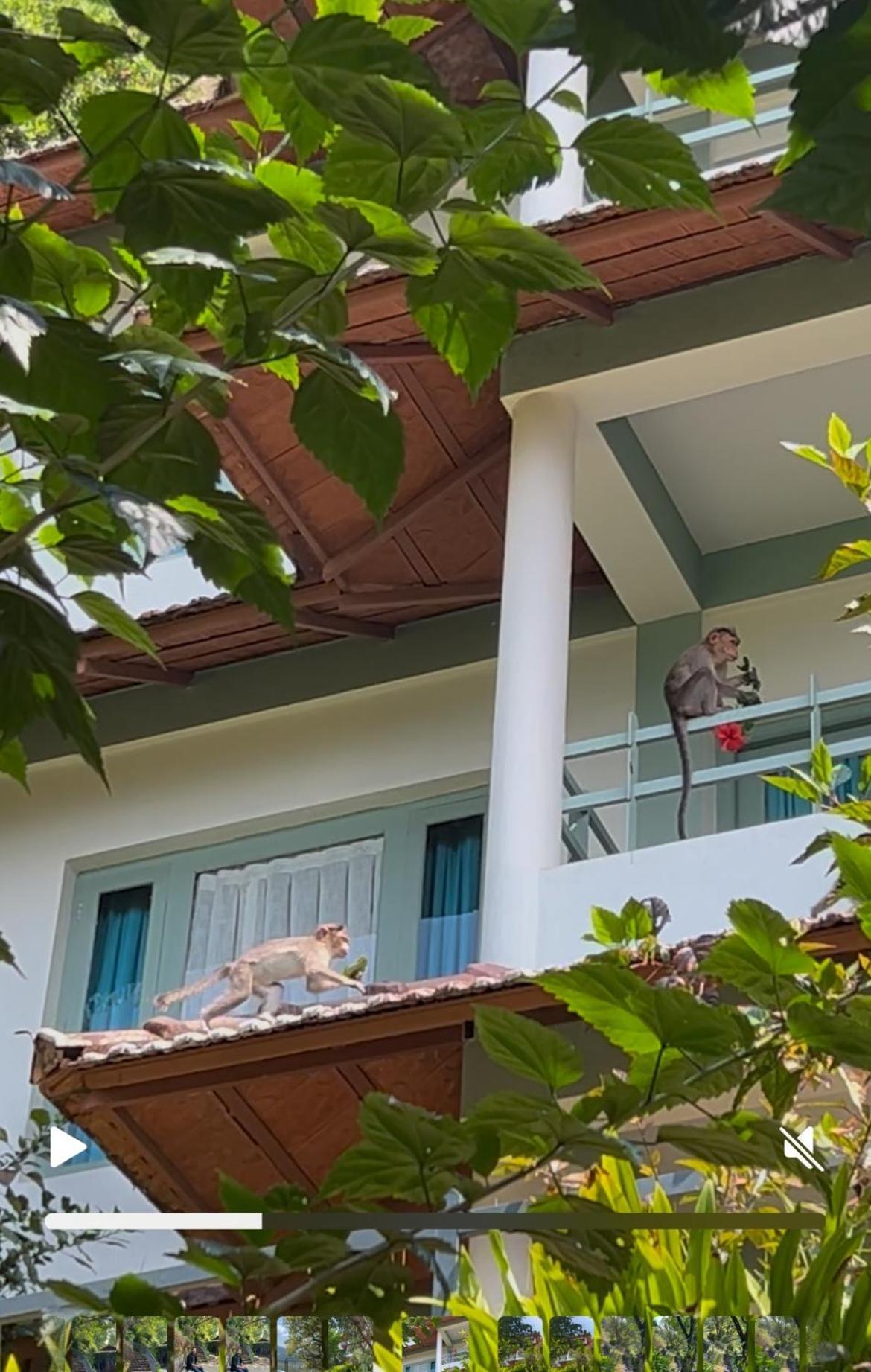 Blackberry Hills Munnar Nature Resort & Spa Exterior photo